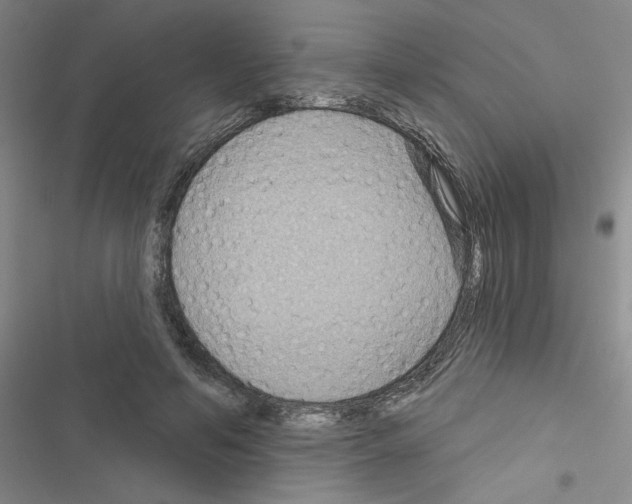 X0000116550594201001211203