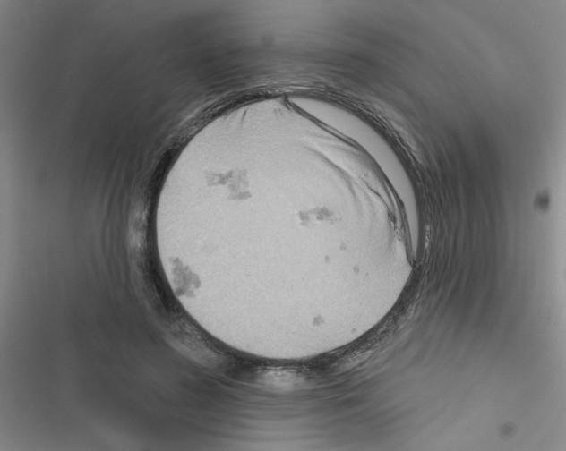 X0000116550596201001211203