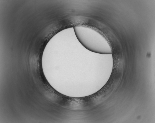 X0000116550599201001211203