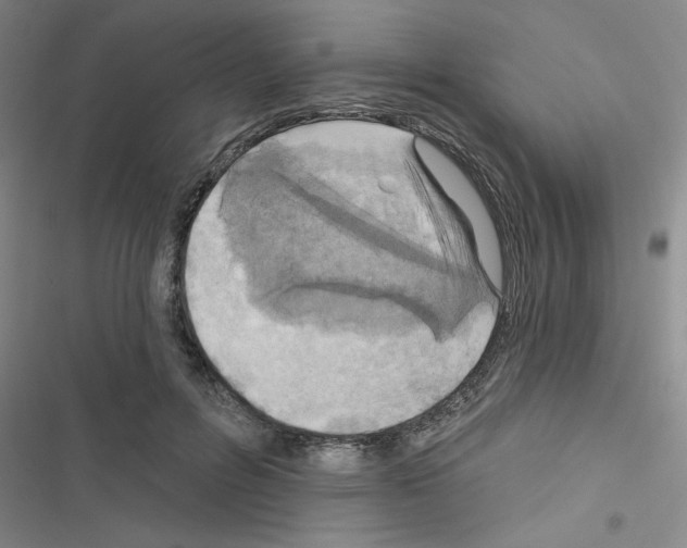 X0000116550600201001211203