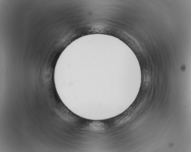 X0000116550603201001211203