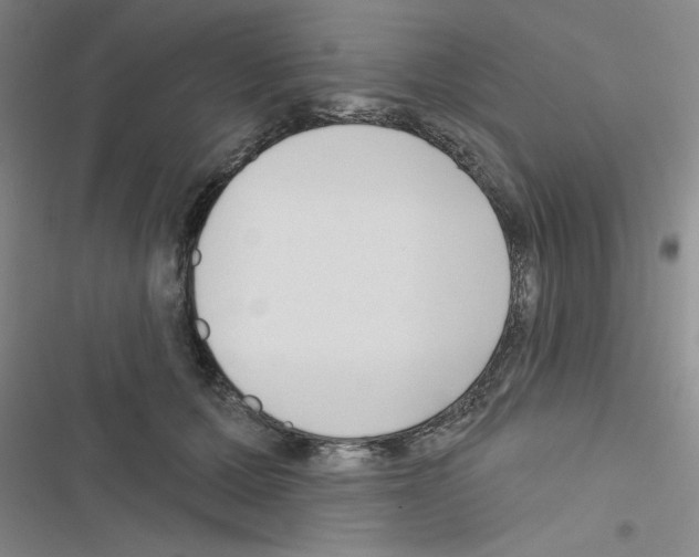 X0000116550607201001211203