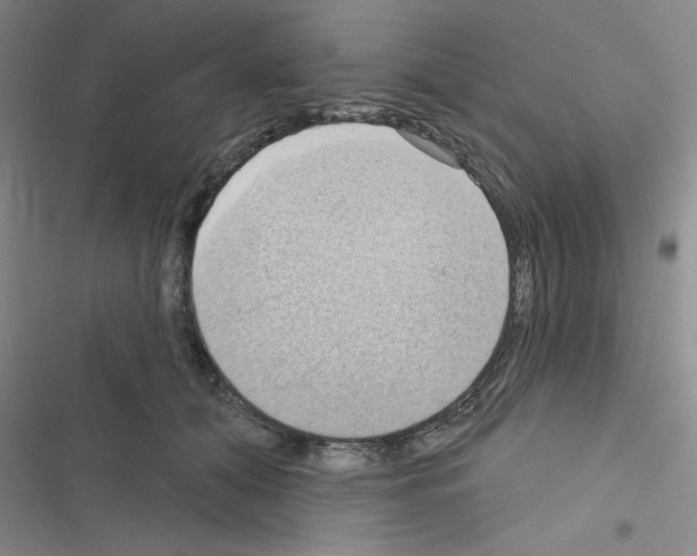 X0000116550608201001211203