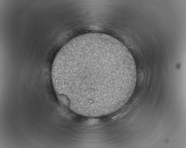 X0000116550609201001211203