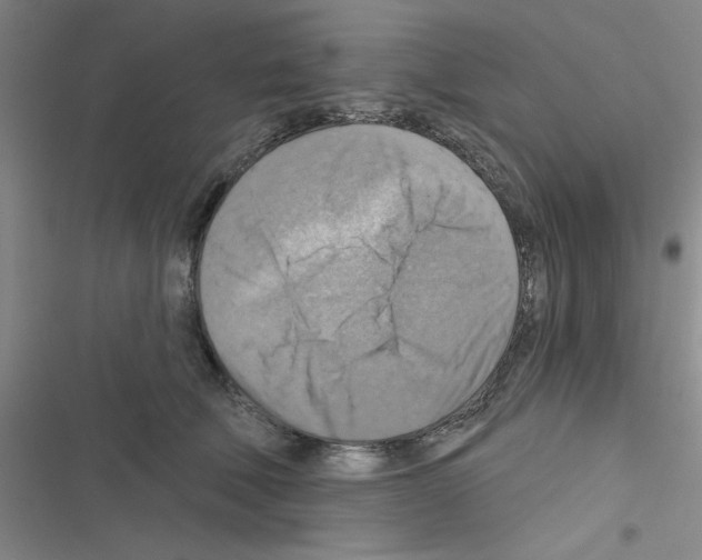 X0000116550610201001211203