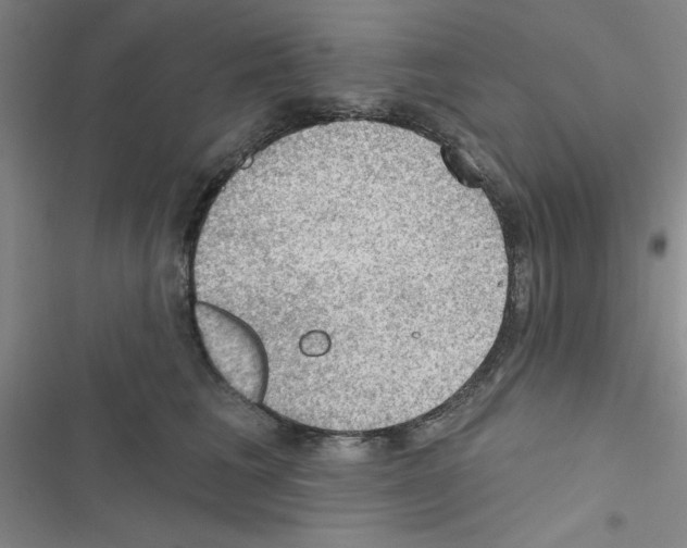 X0000116550613201001211203