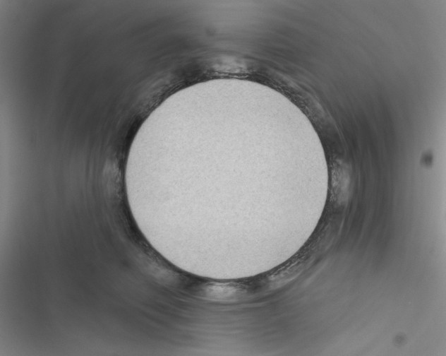 X0000116550614201001211203