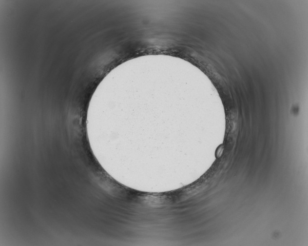 X0000116550615201001211203