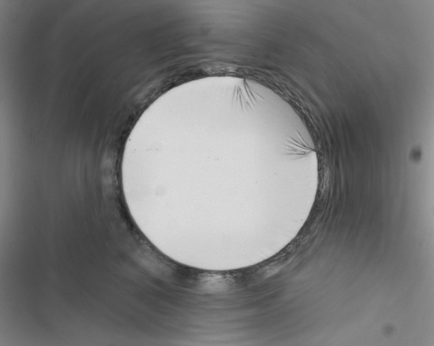 X0000116550616201001211203