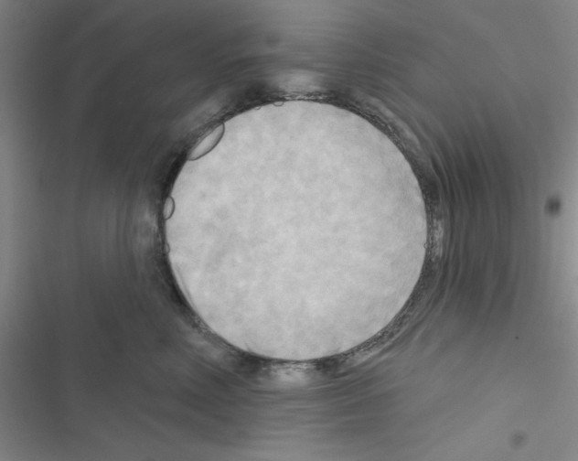 X0000116550618201001211203