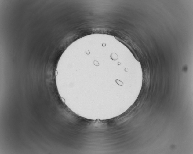 X0000116550619201001211203