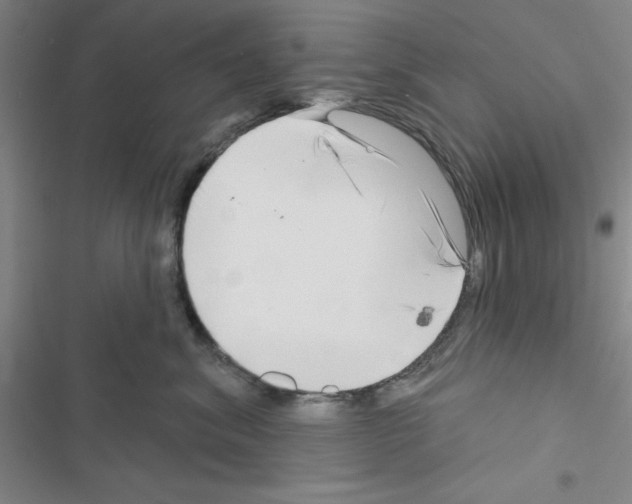 X0000116550620201001211203