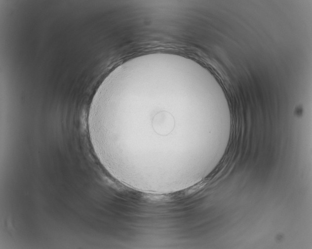 X0000116550621201001211203