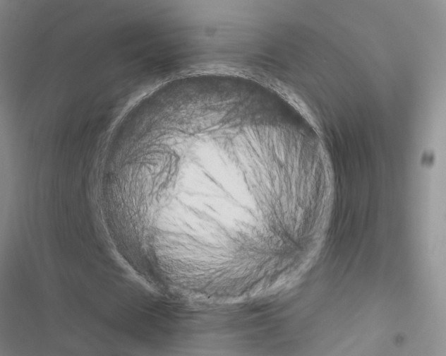 X0000116550625201001211202