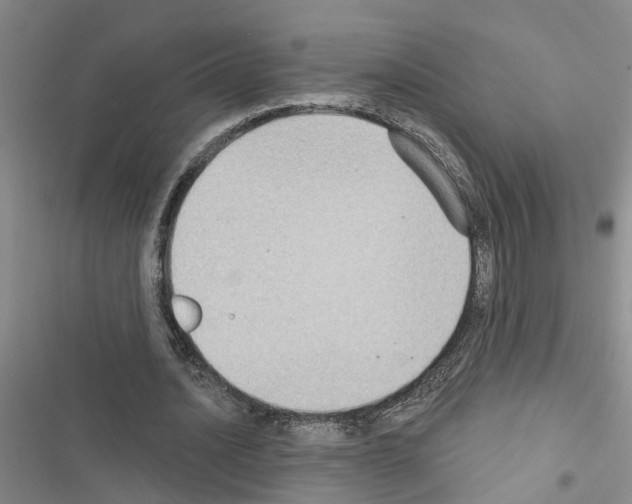 X0000116550628201001211202