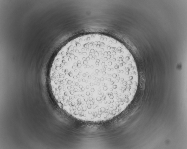 X0000116550631201001211202