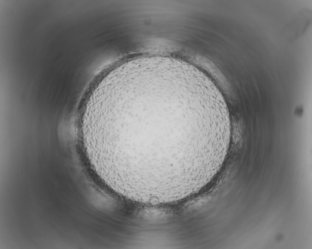 X0000116550632201001211202