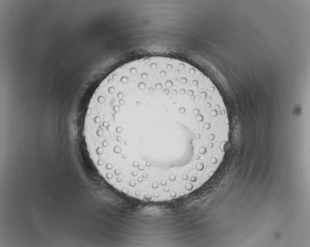 X0000116550635201001211202