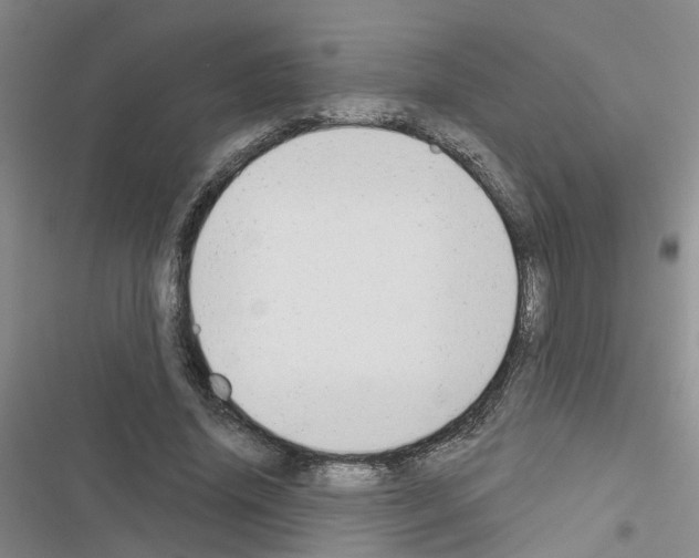 X0000116550636201001211202