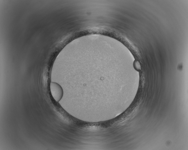 X0000116550637201001211202