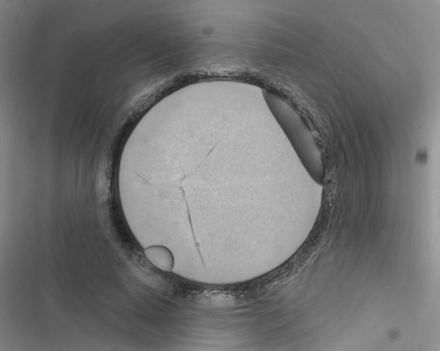 X0000116550640201001211202