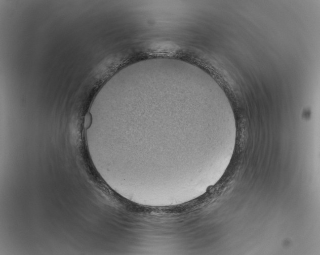 X0000116550641201001211202