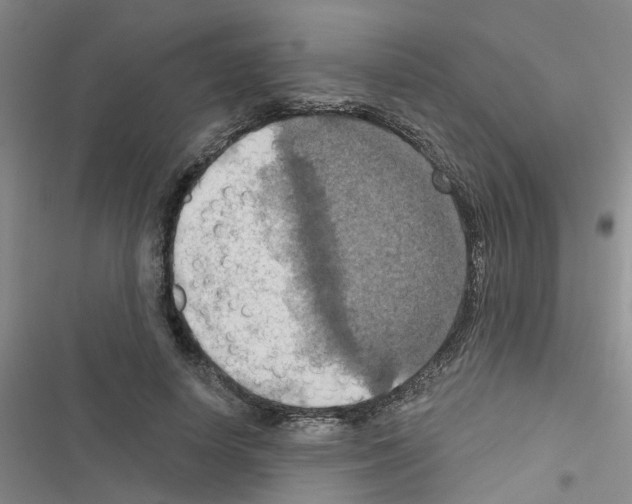 X0000116550642201001211202