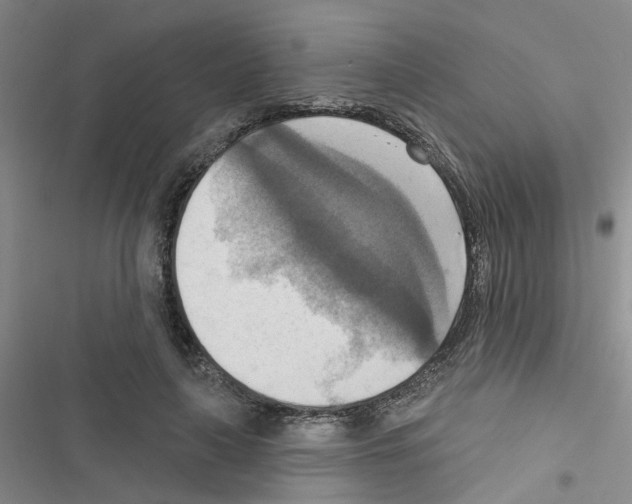 X0000116550643201001211202