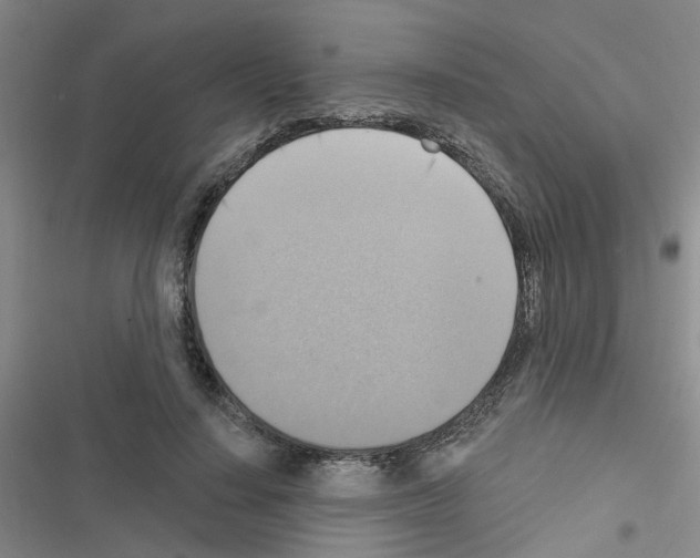 X0000116550644201001211202