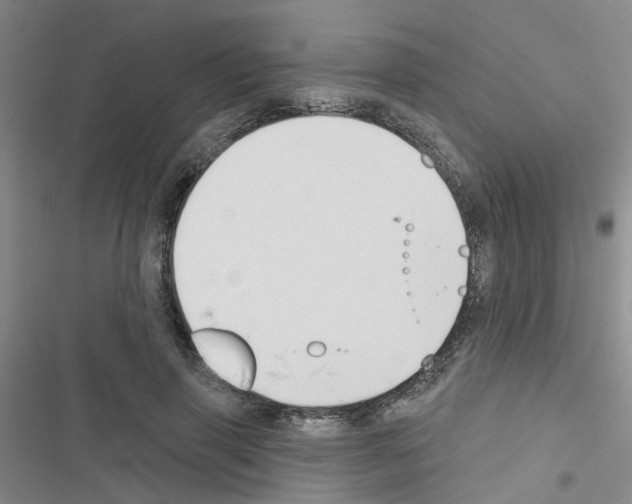 X0000116550645201001211202