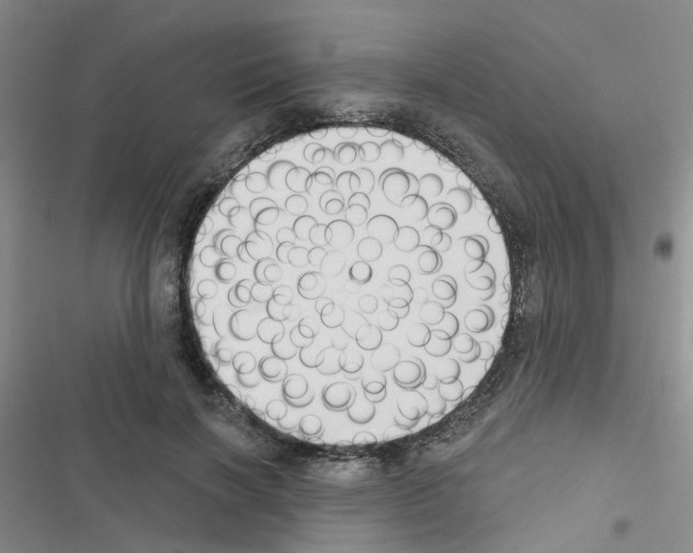 X0000116550646201001211202