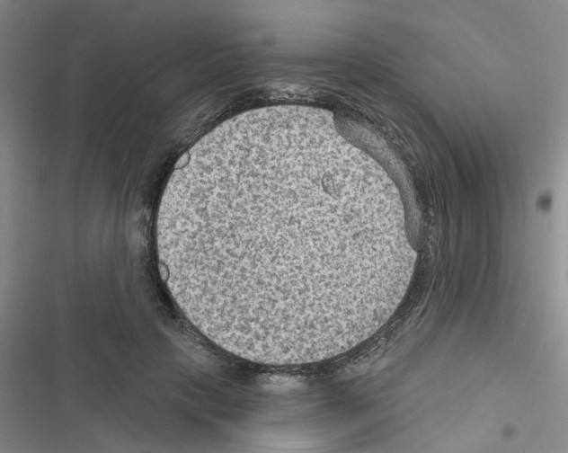 X0000116550649201001211203