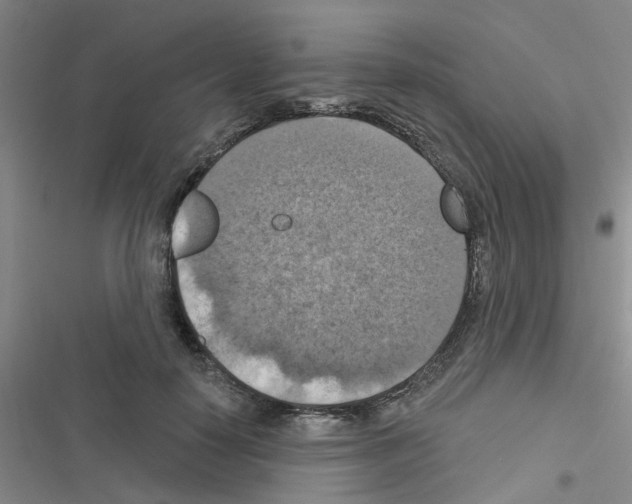 X0000116550650201001211203