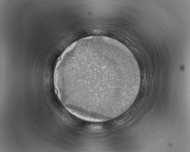 X0000116550651201001211203