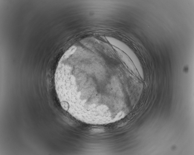 X0000116550653201001211203