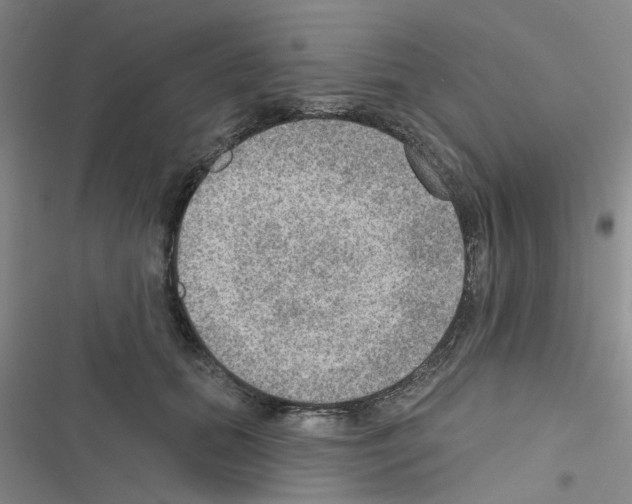 X0000116550655201001211203