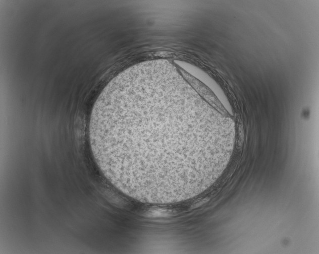 X0000116550657201001211203