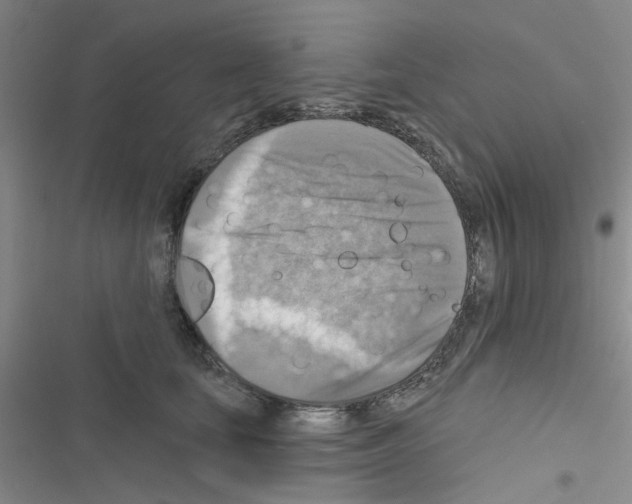 X0000116550659201001211203