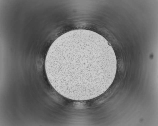 X0000116550660201001211203