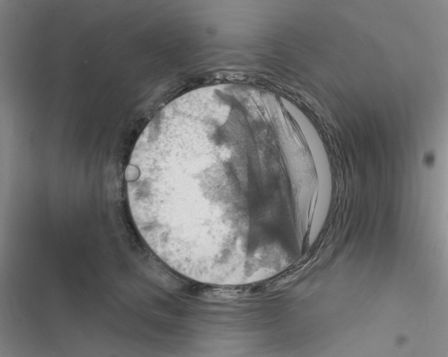 X0000116550661201001211203