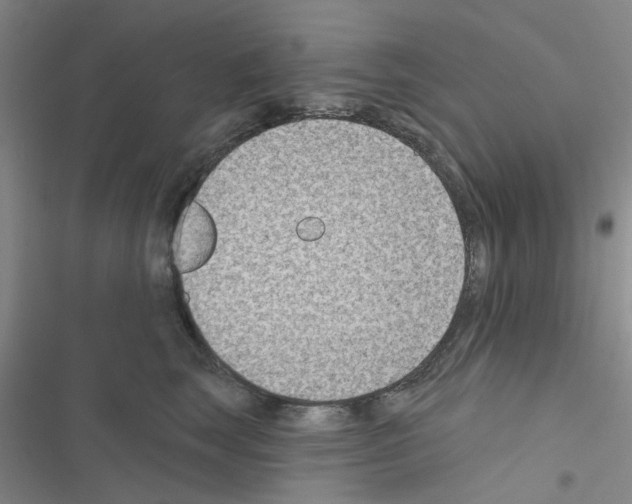 X0000116550663201001211203