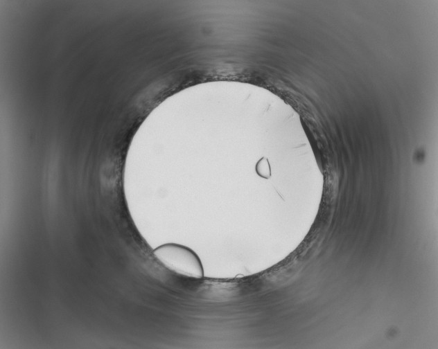 X0000116550665201001211203