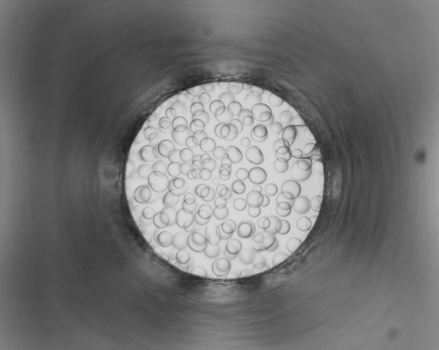 X0000116550666201001211203