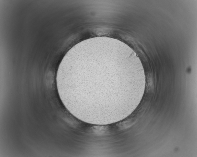 X0000116550667201001211203