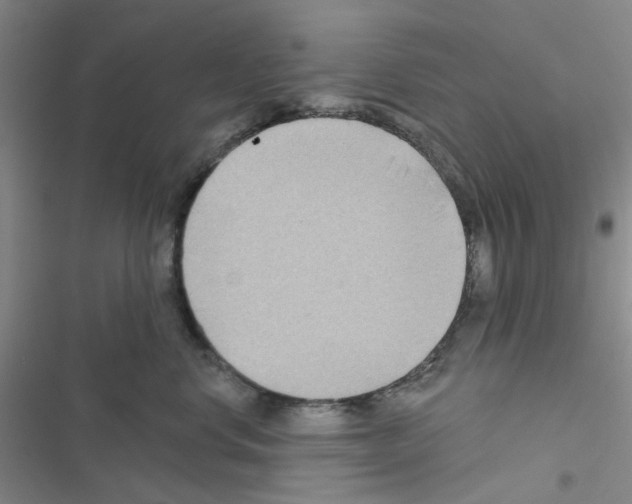 X0000116550668201001211203