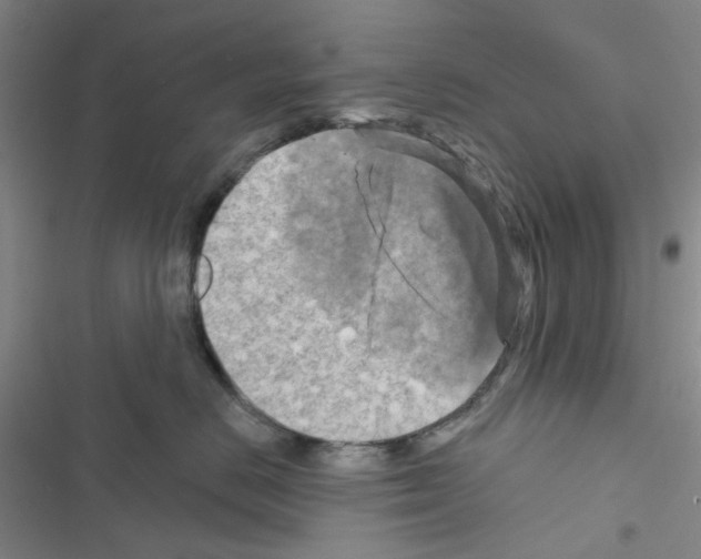 X0000116550670201001211203