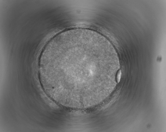 X0000116550673201001211202