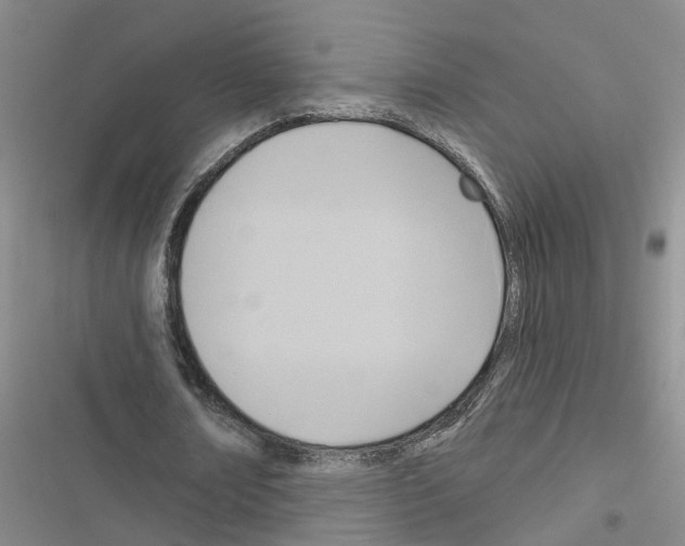 X0000116550674201001211202