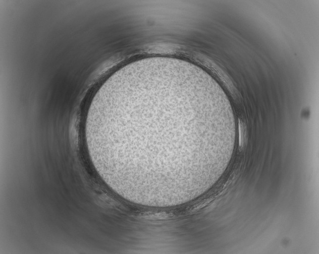 X0000116550675201001211202