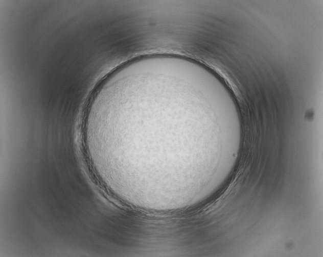 X0000116550677201001211202